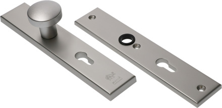 Ami vh-voordeurbeslag 251/50 F1 pc72 knop