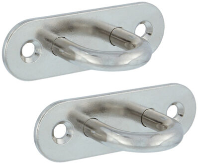 amig Oogplaat - 2x - 6 x 2cm - AISI 316 rvs - vastzetplaat - voor buiten