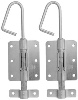 amig Verticaal schuifslot/plaatgrendel - 2x - staal - 25 x 6.2cm - verzinkt - zilver - schutting