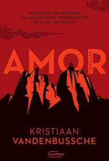 Amor -  Kristiaan Vandenbussche (ISBN: 9789022341179)