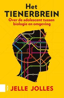 Amsterdam University Press Het tienerbrein - Boek Jelle Jolles (9462987475)