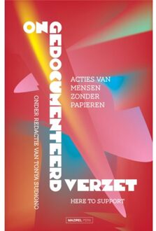 Amsterdam University Press Ongedocumenteerd Verzet