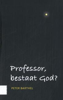 Amsterdam University Press Professor, Bestaat God? - Peter Barthel