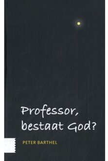 Amsterdam University Press Professor, Bestaat God? - Peter Barthel