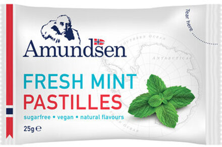 Amundsen - Pastilles Fresh Mint 25 Gram 24 Stuks