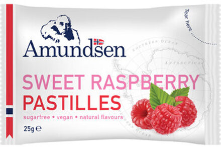 Amundsen - Pastilles Raspberry 25 Gram 24 Stuks