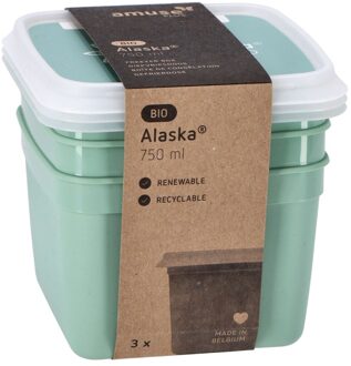 Amuse Alaska 3 Diepvriesdozen Vierkant 0.75 liter
