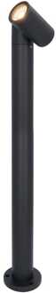 Amy LED sokkellamp - 60cm - 4 Watt 345 lumen - Kantelbaar - IP65 Waterdicht - 2700K warm wit - Padverlichting - Zwart - Staande buitenlamp
