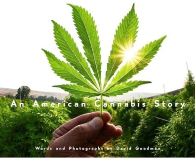 An American Cannabis Story - David Goodman
