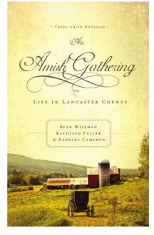 An Amish Gathering