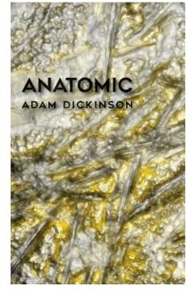 Anatomic
