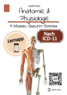 Anatomie & Physiologie - 11: Muskel-Skelett-System - Sybille Disse - ebook