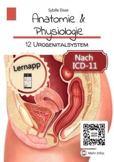 Anatomie & Physiologie - 12: Urogenitalsystem - Sybille Disse - ebook