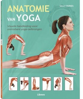 Anatomie van yoga - Sally Parkes