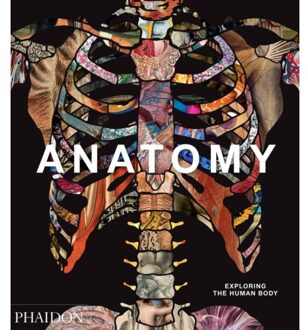 Anatomy: Exploring the Human Body - Phaidon Editors - 000