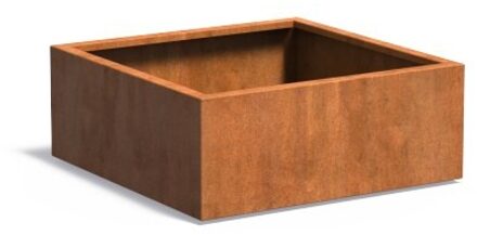 Andes cortenstaal 100x100x40 cm plantenbak