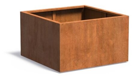 Andes cortenstaal 100x100x60 cm plantenbak