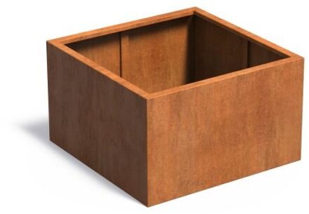 Andes cortenstaal 100x100x60 cm zonder bodem