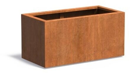 Andes cortenstaal 100x50x50 cm plantenbak