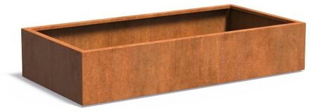 Andes cortenstaal 200x100x40 cm plantenbak