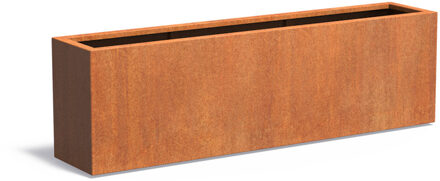 Andes cortenstaal 200x40x60 cm plantenbak