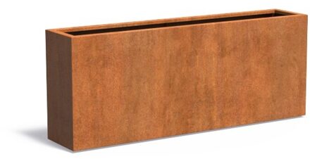 Andes cortenstaal 200x40x80 cm plantenbak
