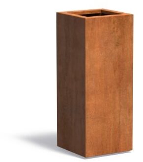 Andes cortenstaal 40x40x100 cm plantenbak