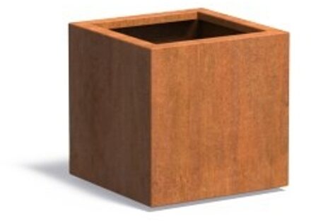 Andes cortenstaal 50x50x50 cm plantenbak