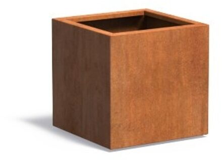 Andes cortenstaal 60x60x60 cm plantenbak