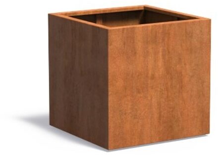 Andes cortenstaal 80x80x80 cm plantenbak