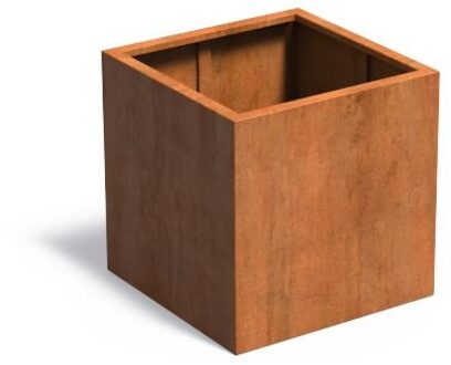 Andes cortenstaal 80x80x80 cm zonder bodem