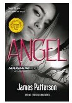 Angel A Maximum Ride Novel