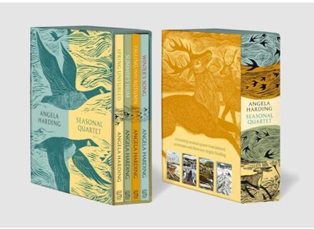 Angela Harding Seasonal Quartet Boxset: Includes Spring Unfurled, Summer's Hum, Falling Into Autumn - Angela Harding