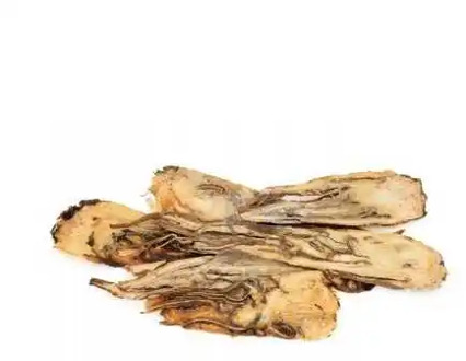 Angelica root