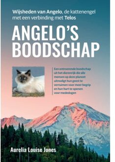 Angelo's boodschap - (ISBN:9789460152078)