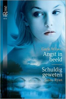 Angst in beeld ; Schuldig geweten - eBook Gayle Wilson (9461993552)