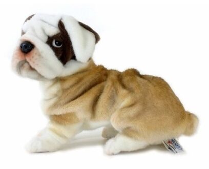 Anima Knuffel bulldog hond beige 30 cm