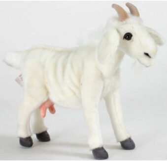 Anima Witte knuffelbeest geit 35 cm