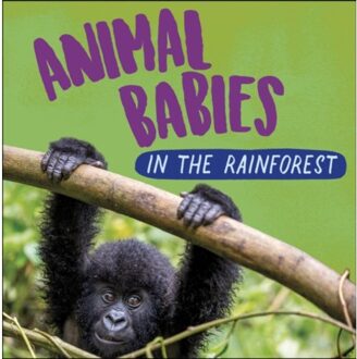 Animal Babies: In The Rainforest - Animal Babies - Sarah Ridley