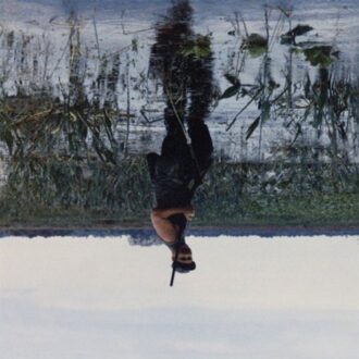 Animal Drowning - Knifeplay