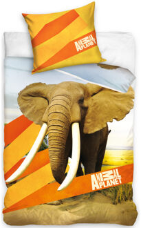 Animal Planet dekbedovertrek olifant 140 x 200 cm Oranje
