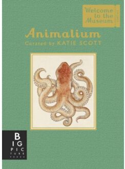 Animalium (Mini Gift Edition)