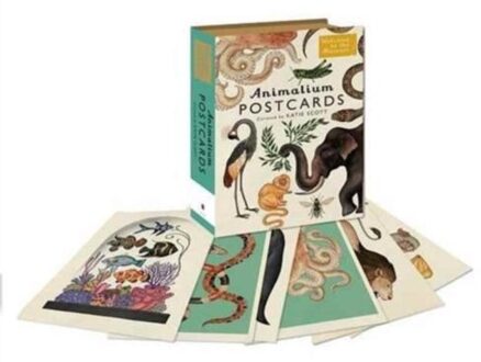 Animalium Postcards - Boek Jenny Broom (1783706252)