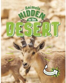 Animals Hidden In The Desert - Animals Undercover - Jessica Rusick