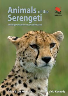 Animals of the Serengeti