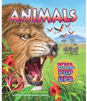 Animals Xxl Pop-Ups - Xxl Pop-Ups - Hawcock, David