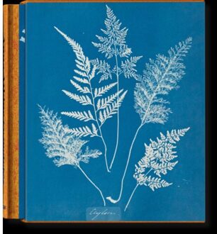 Anna Atkins. Cyanotypes - Peter Walther