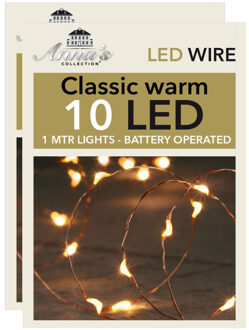 Anna Collection lichtdraad - 2x -koperdraad- 10 leds -warm wit -100 cm - Lichtsnoeren