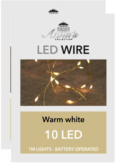 Anna Collection lichtdraden - 2x - goud - warm wit - 100 cm - Lichtsnoeren