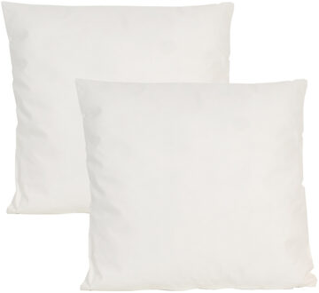 Anna's Collection Buiten of tuin sier kussens - 2x - ivoor wit - 60 x 60 cm - binnen/buiten - tuinbank